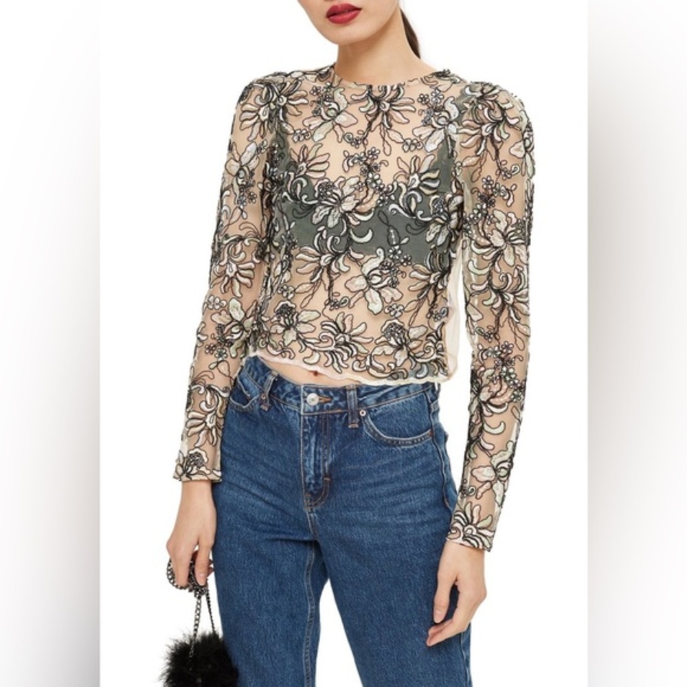 TOPSHOP embroidered‎ floral mesh sheer top puffy sleeve EUC